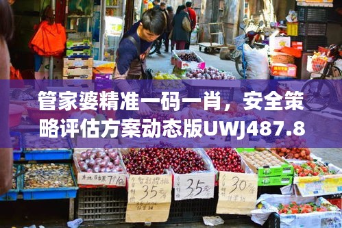 管家婆精準(zhǔn)一碼一肖，安全策略評估方案動態(tài)版UWJ487.85