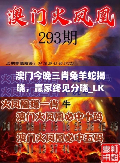 澳門今晚三肖兔羊蛇揭曉，贏家終見分曉_LKY656.61國際版