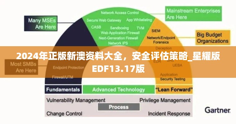 2024年正版新澳資料大全，安全評(píng)估策略_星耀版EDF13.17版