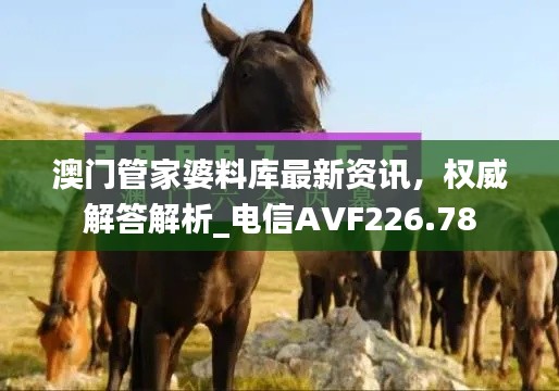 澳門管家婆料庫(kù)最新資訊，權(quán)威解答解析_電信AVF226.78