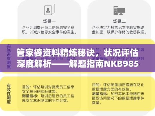 管家婆資料精煉秘訣，狀況評(píng)估深度解析——解題指南NKB985.33