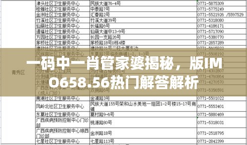 一碼中一肖管家婆揭秘，版IMO658.56熱門解答解析