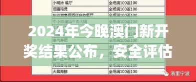 2024年今晚澳門新開獎(jiǎng)結(jié)果公布，安全評(píng)估策略_個(gè)人版ODS705.26