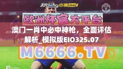 澳門一肖中必中神槍，全面評估解析_模擬版EIO325.07