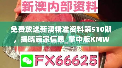 免費(fèi)放送新澳精準(zhǔn)資料第510期，揭曉贏家信息_掌中版KMW387.73