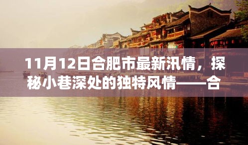 合肥汛情下的隱秘美食天堂探秘，小巷風(fēng)情與美食之旅