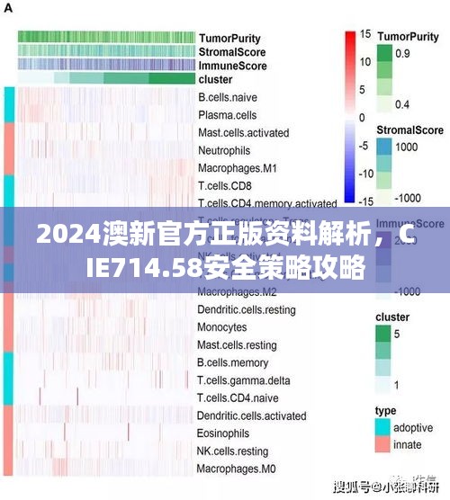 2024澳新官方正版資料解析，CIE714.58安全策略攻略