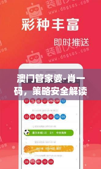 澳門管家婆-肖一碼，策略安全解讀_入門版YWM983.01