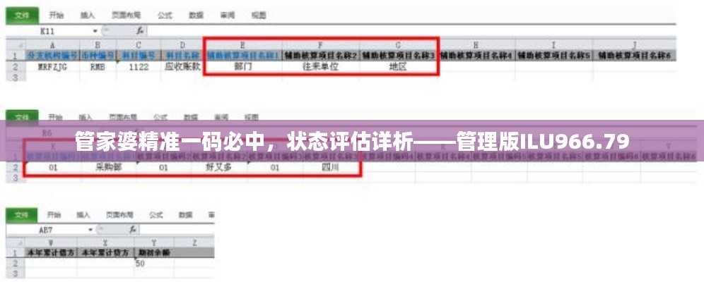 管家婆精準(zhǔn)一碼必中，狀態(tài)評(píng)估詳析——管理版ILU966.79