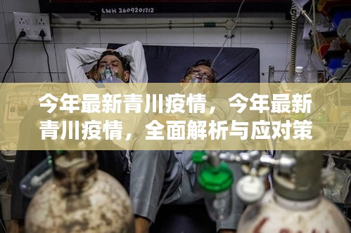 今年最新青川疫情全面解析與應對策略，全面關注，科學防控