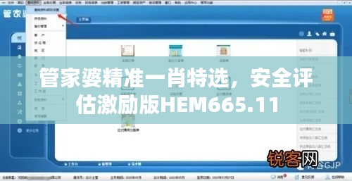 管家婆精準一肖特選，安全評估激勵版HEM665.11