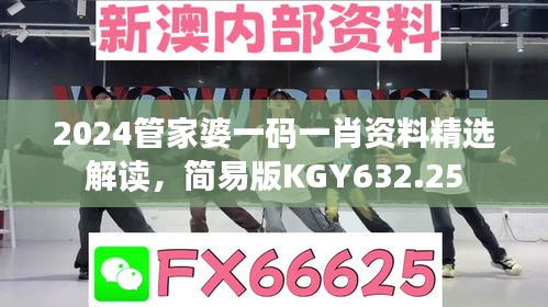 2024管家婆一碼一肖資料精選解讀，簡易版KGY632.25
