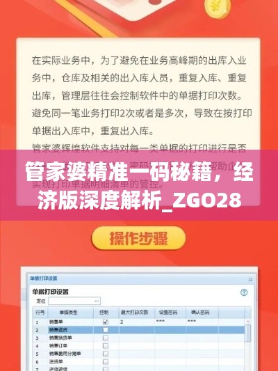 管家婆精準一碼秘籍，經(jīng)濟版深度解析_ZGO289.56