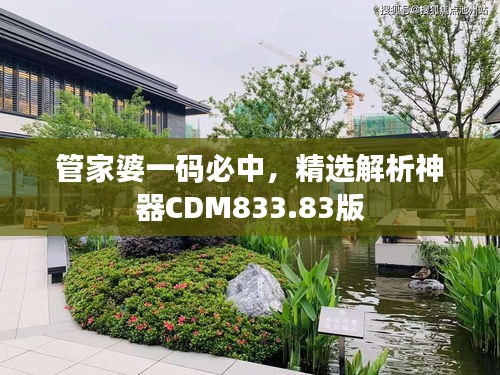 管家婆一碼必中，精選解析神器CDM833.83版