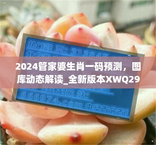 2024管家婆生肖一碼預(yù)測，圖庫動(dòng)態(tài)解讀_全新版本XWQ290.47