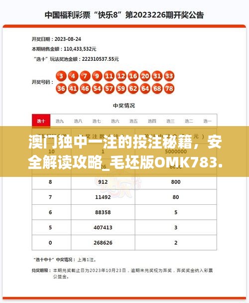 澳門(mén)獨(dú)中一注的投注秘籍，安全解讀攻略_毛坯版OMK783.49