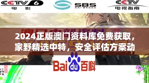 2024正版澳門資料庫(kù)免費(fèi)獲取，家野精選中特，安全評(píng)估方案動(dòng)畫版RQF945.86