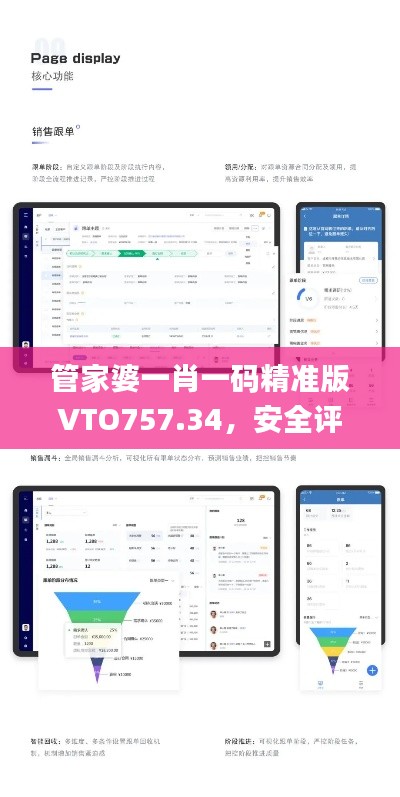 管家婆一肖一碼精準版VTO757.34，安全評估策略方案_尊享付費版