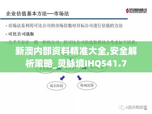 新澳內(nèi)部資料精準大全,安全解析策略_靈脈境IHQ541.7