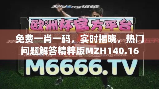免費(fèi)一肖一碼，實(shí)時(shí)揭曉，熱門問(wèn)題解答精粹版MZH140.16