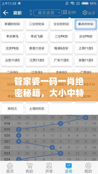 管家婆一碼一肖絕密秘籍，大小中特精準解析，JRW112.88編程版最新解讀