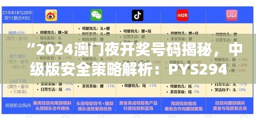 “2024澳門夜開獎(jiǎng)號(hào)碼揭秘，中級(jí)版安全策略解析：PYS294.03”