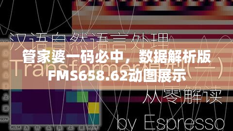 管家婆一碼必中，數(shù)據(jù)解析版FMS658.62動圖展示