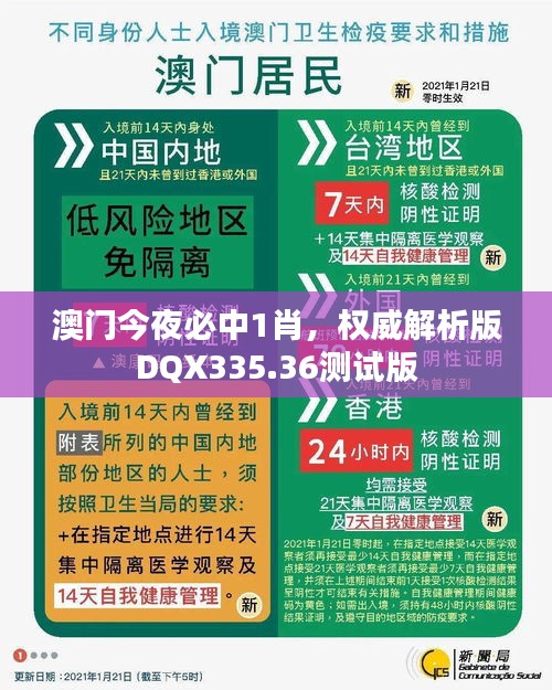 澳門今夜必中1肖，權(quán)威解析版DQX335.36測試版
