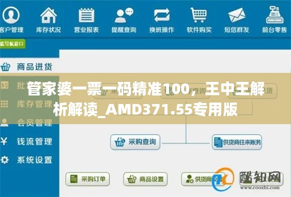 管家婆一票一碼精準100，王中王解析解讀_AMD371.55專用版