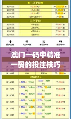 澳門一碼中精準一碼的投注技巧,安全解析策略_備用版CNF519.18