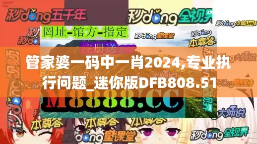管家婆一碼中一肖2024,專(zhuān)業(yè)執(zhí)行問(wèn)題_迷你版DFB808.51