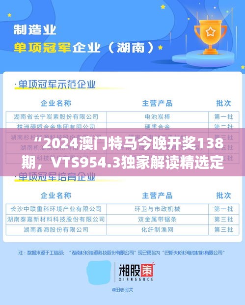 “2024澳門特馬今晚開獎138期，VTS954.3獨家解讀精選定義”