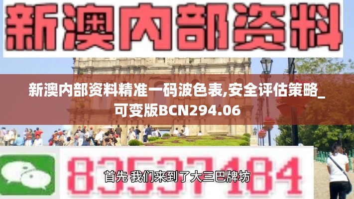 新澳內部資料精準一碼波色表,安全評估策略_可變版BCN294.06