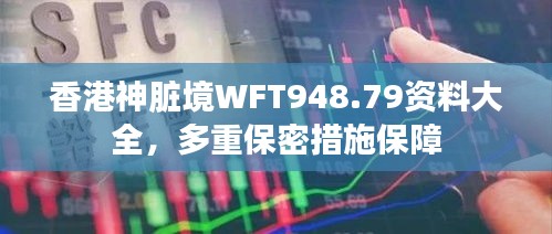香港神臟境WFT948.79資料大全，多重保密措施保障