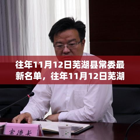 往年11月12日蕪湖縣常委最新名單詳解，深度評(píng)測(cè)與介紹