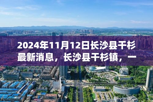 長(zhǎng)沙縣干杉鎮(zhèn)，溫馨日常的奇遇記（最新消息2024年11月12日）