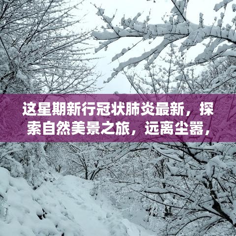 疫情下的別樣旅行體驗(yàn)，探索自然美景，遠(yuǎn)離塵囂尋求內(nèi)心平靜的新行冠狀肺炎時(shí)代之旅