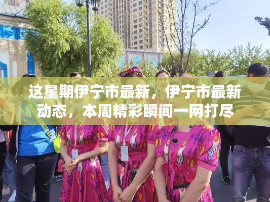 本周伊寧市最新動(dòng)態(tài)全景呈現(xiàn)，精彩瞬間一網(wǎng)打盡
