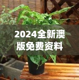 2024全新澳版免費(fèi)資料集，植物防護(hù)秘籍——九天太仙FLQ414.11