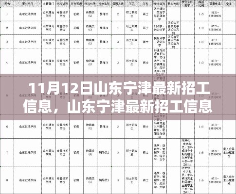 山東寧津最新招工信息，就業(yè)機(jī)遇與挑戰(zhàn)揭秘