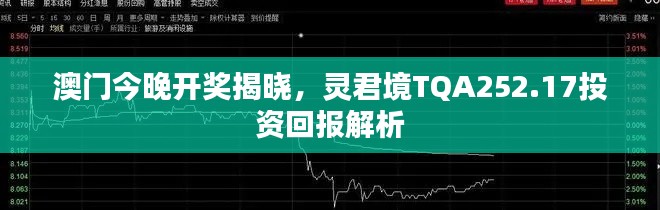 澳門今晚開獎揭曉，靈君境TQA252.17投資回報解析
