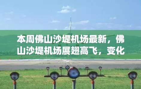 佛山沙堤機場最新動態(tài)，展翅高飛，變化中的學習鑄就自信與成就展