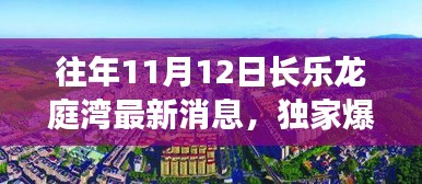 獨家揭秘，往年11月12日長樂龍庭灣最新動態(tài)與細節(jié)曝光！