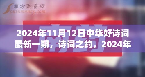中華好詩詞最新一期，詩意時光下的詩詞之約（2024年11月12日）