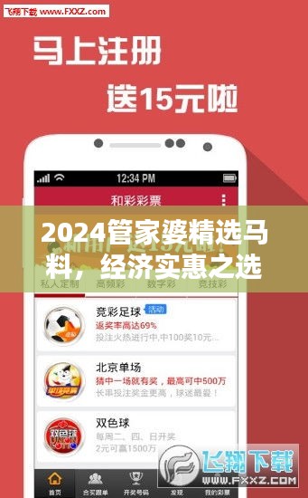 2024管家婆精選馬料，經(jīng)濟實惠之選——NBO943.87超凡推薦