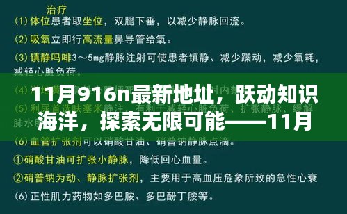 躍動(dòng)知識(shí)海洋，探索無限可能，揭秘11月916n新地址魔法之旅，學(xué)習(xí)成就自信與成長