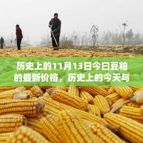揭秘豆粕市場，今日價格走勢與歷史上的今天關聯(lián)揭秘