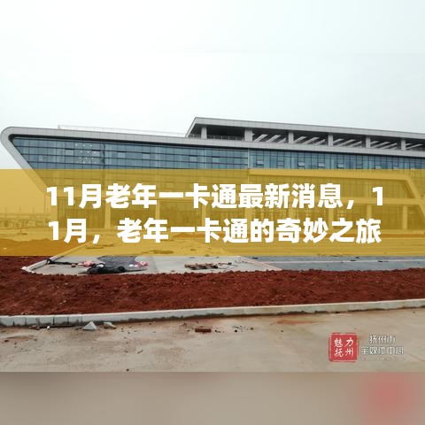 11月老年一卡通最新動(dòng)態(tài)，奇妙之旅開啟