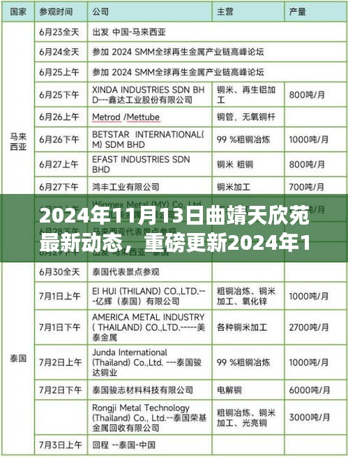 揭秘，2024年11月13日曲靖天欣苑最新動態(tài)重磅更新