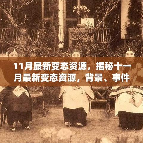 揭秘十一月最新變態(tài)資源，背景、事件、影響與時代地位全面解析